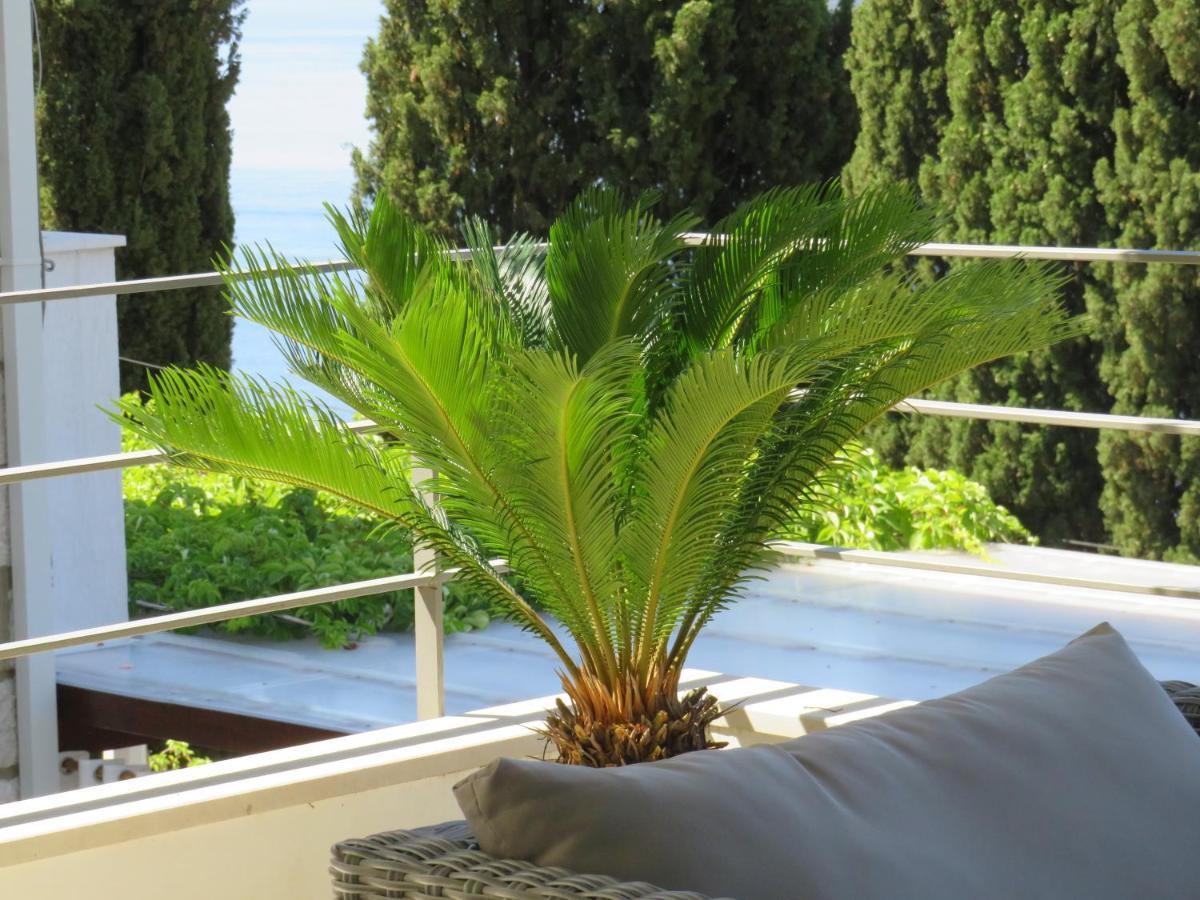 Villa King Ντουμπρόβνικ Εξωτερικό φωτογραφία
